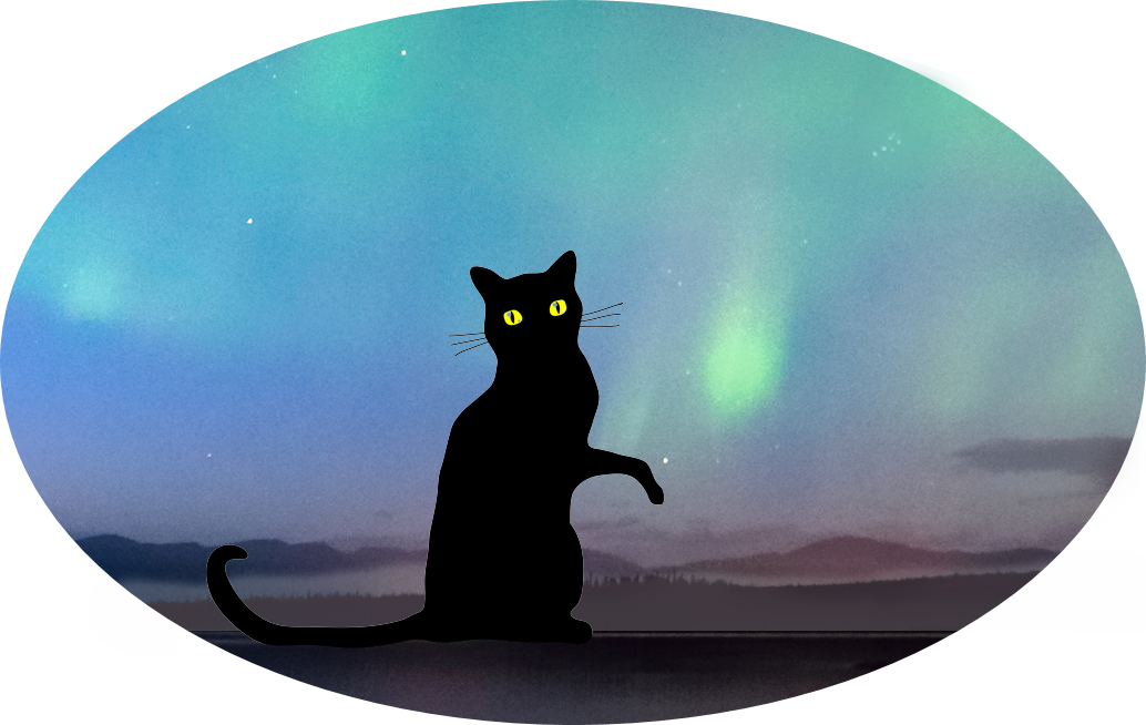 Black cat against night sky with aurora
